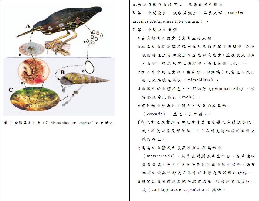 疾病相關圖片